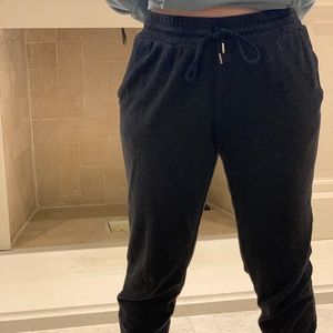 Aritzia Wilfred Joggers